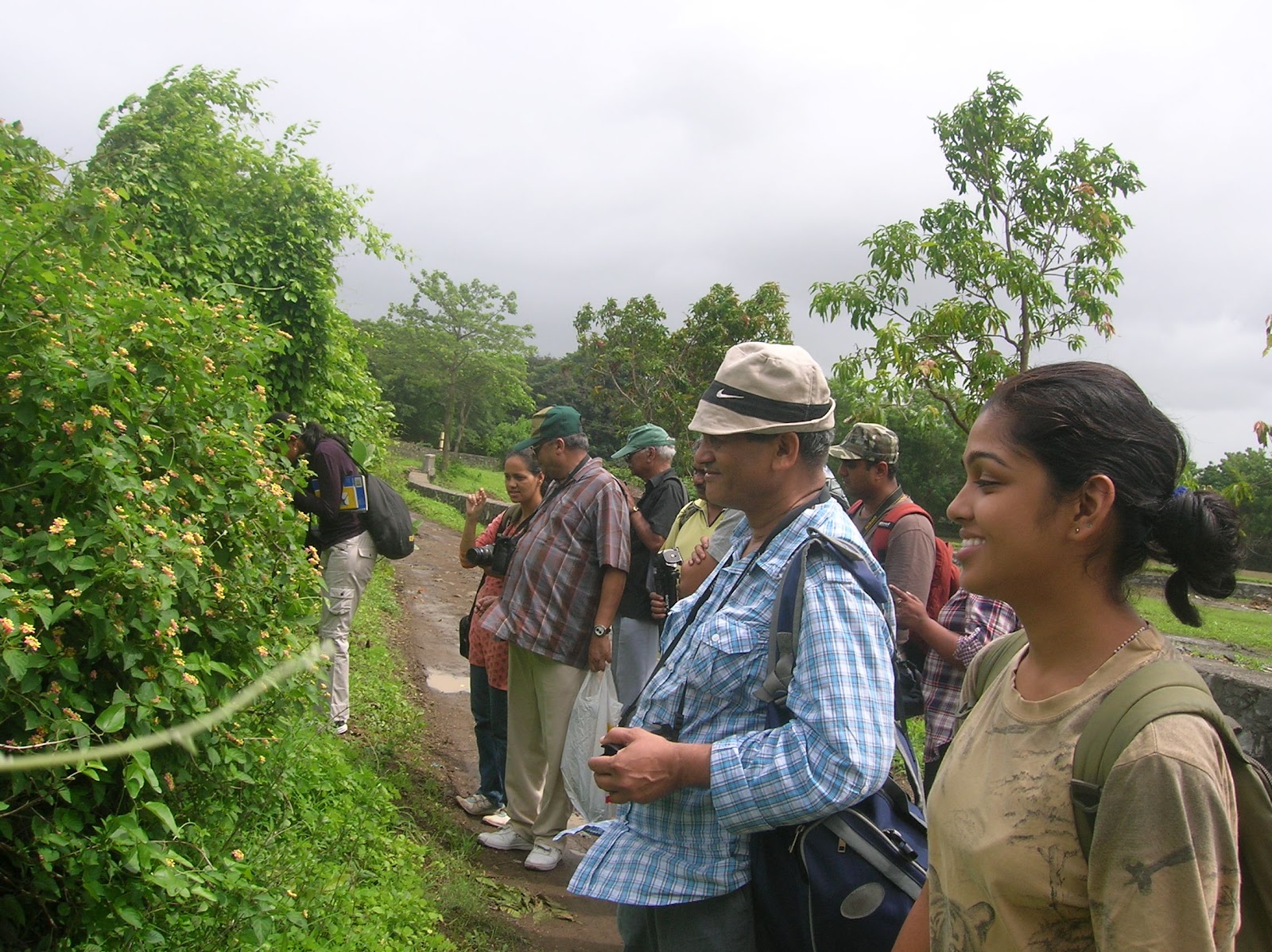 WWF-MSO: July 2012