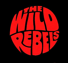 Wild Rebels Skateboarding