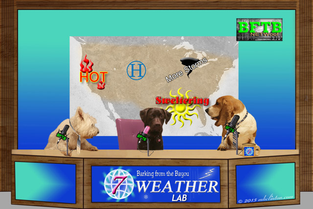 BFTB NETWoof Weather July 13 2015