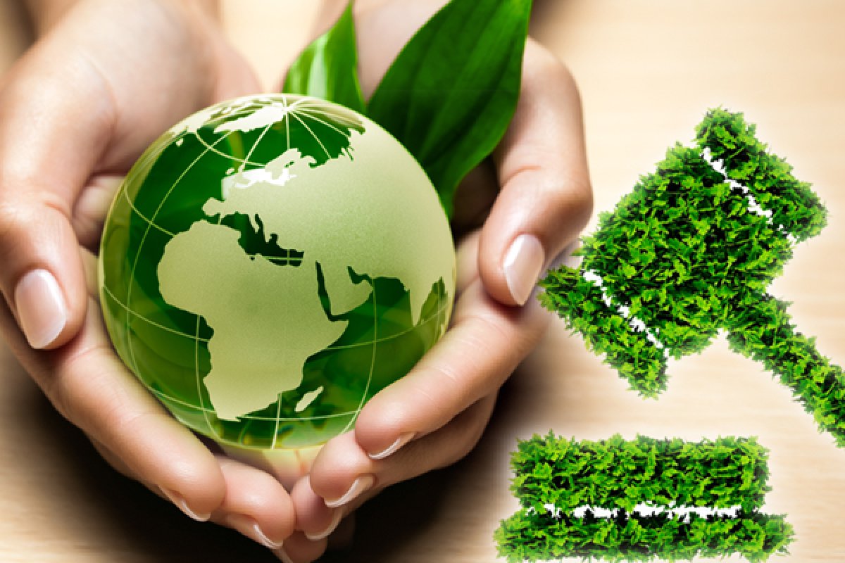 Desarrollo Sustentable Tarea 2 6 Estrategias De Sustentabilidad Para El Manejo De Recursos Naturales