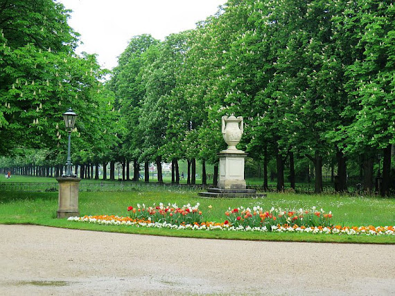 Aleja kasztanowców