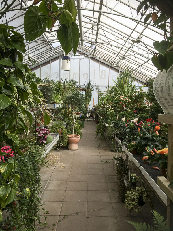 Ösmo Plantshop, växthuset Ösmo Plantshop, växthuset