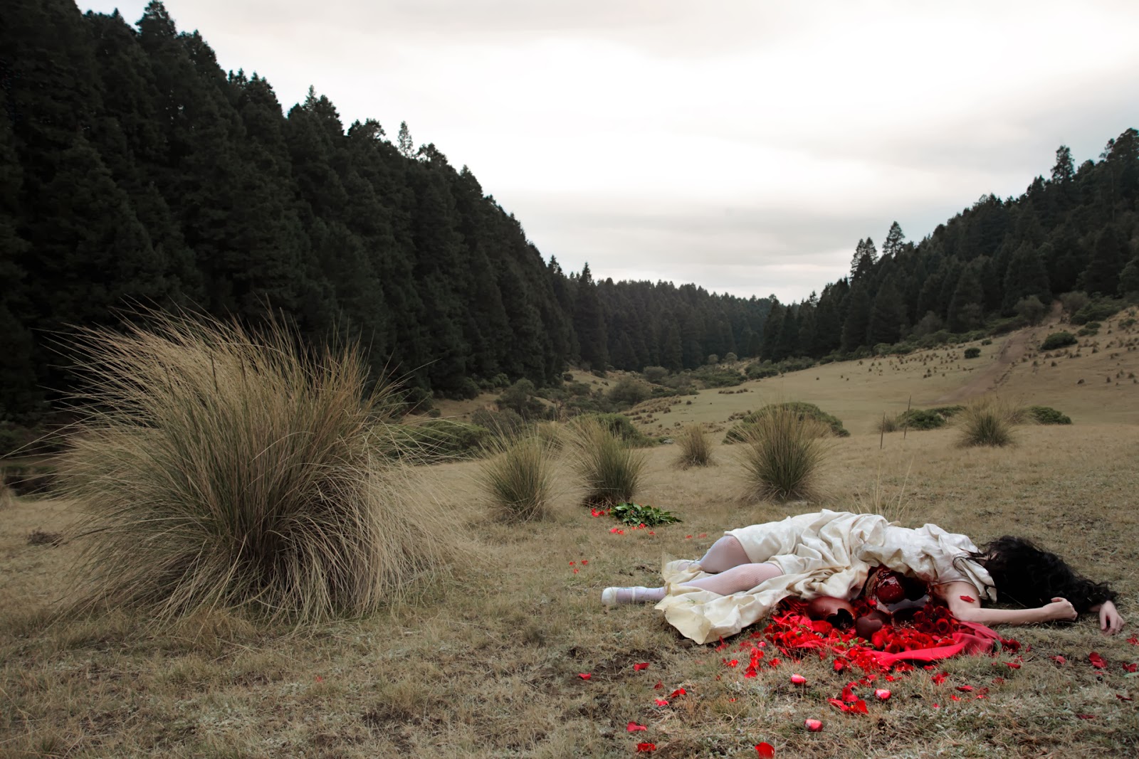 ©Daniela Edburg - The remains of the day. Fotografía | Photography