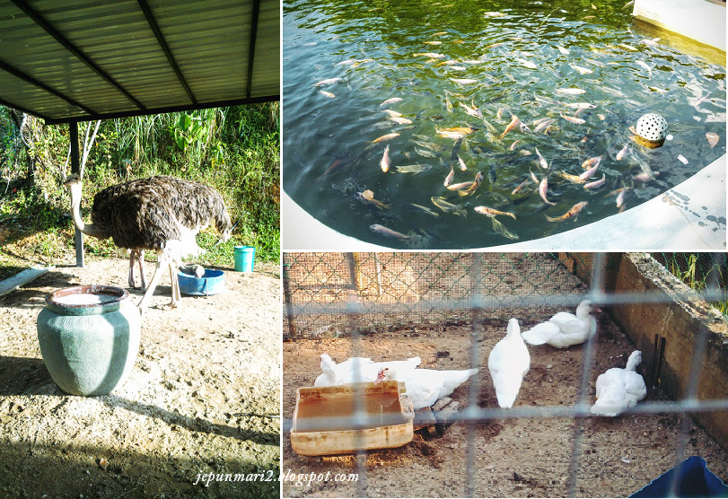 Refarm, Kampar Perak