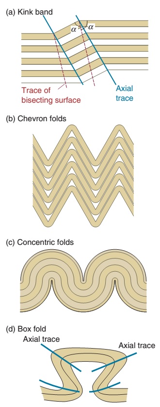 Learning Geology: Geometric description of folds