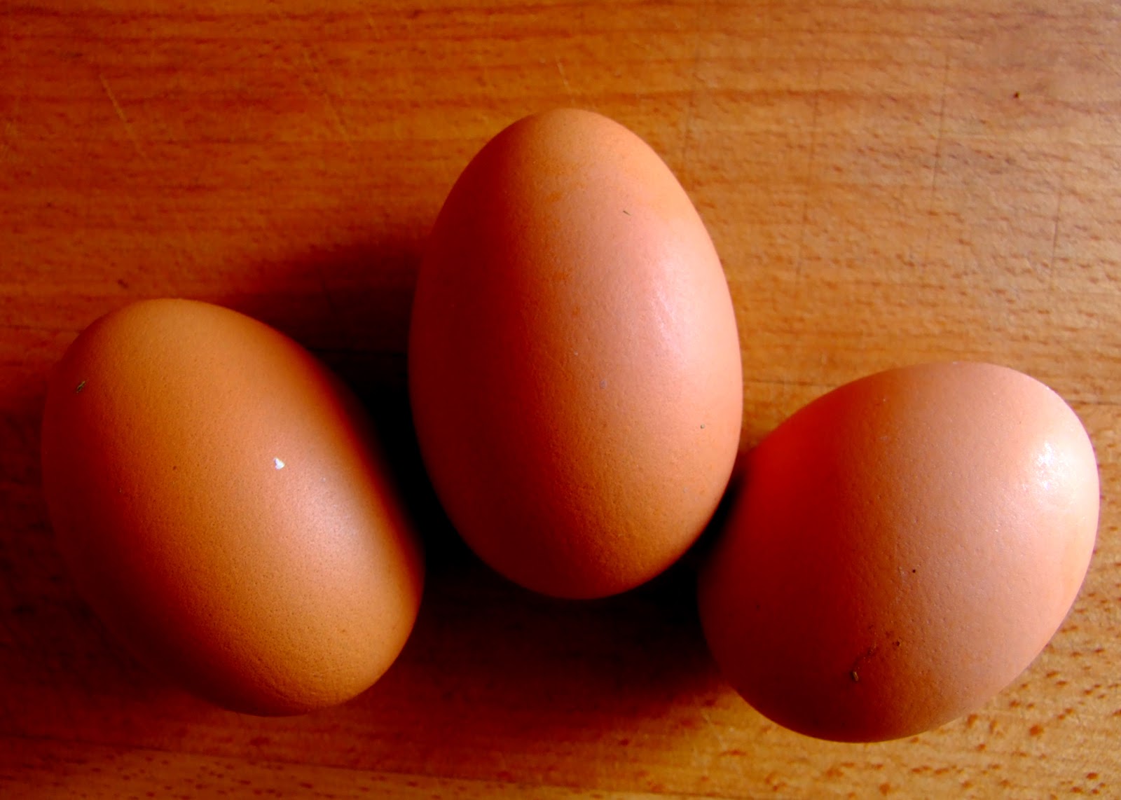 Включи 3 яйца. Три яйца. Три куриных яйца. Фото яиц куриных. Яйца 3 шт.
