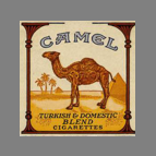 Camel design