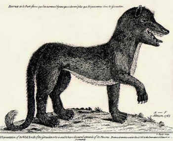 Misteri The Beast of Gevaudan