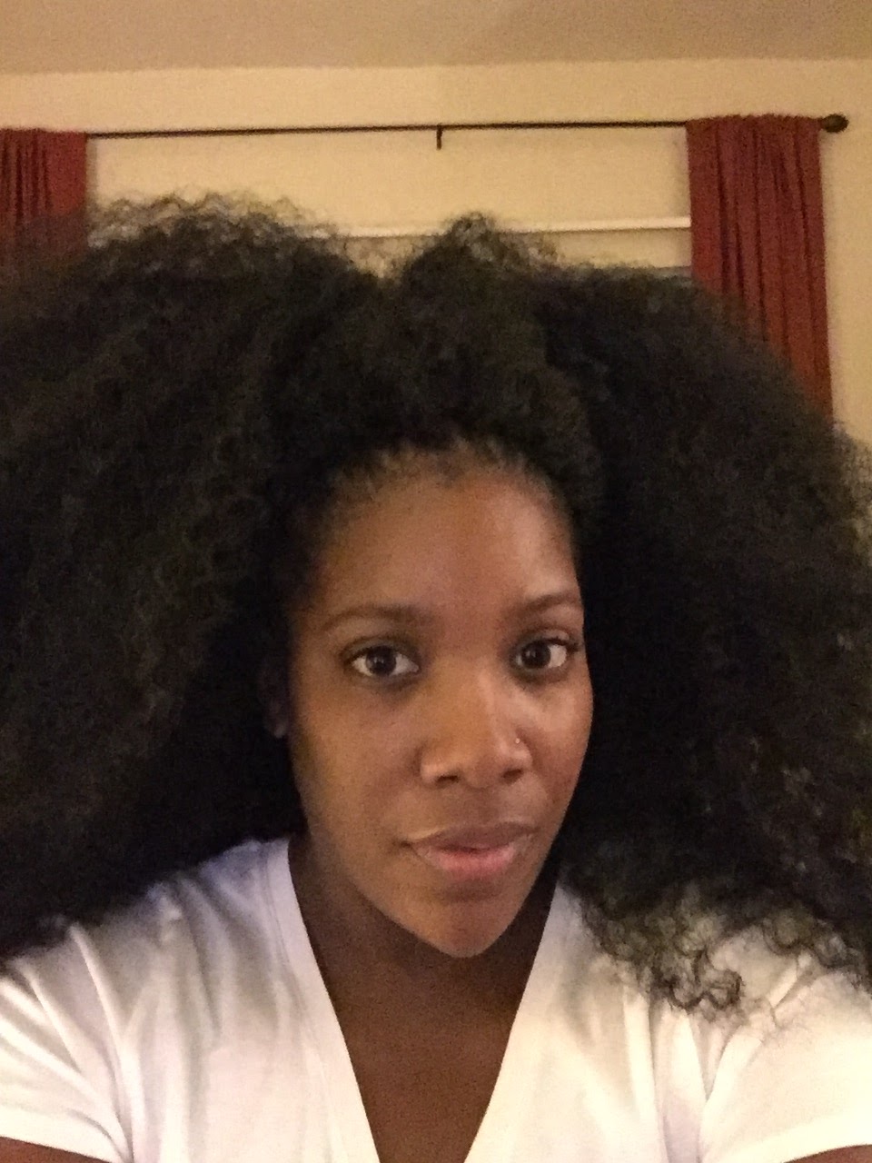 Protective Styles: Crochet Braids with Harlem 125 Durban Twist ...
