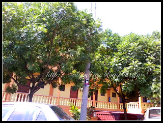 Damar Suria Resort Pengkalan Balak