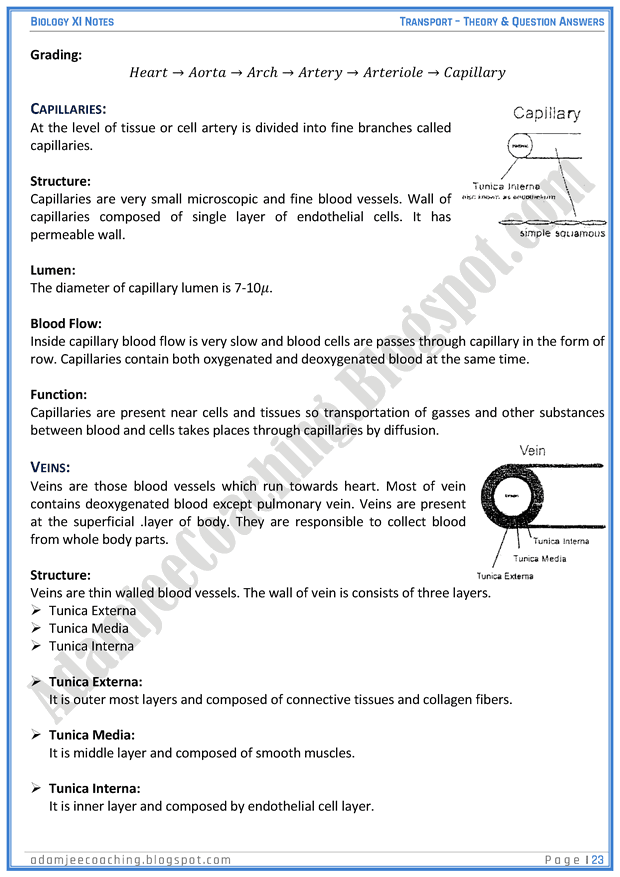 transportation-descriptive-question-answers-biology-11th