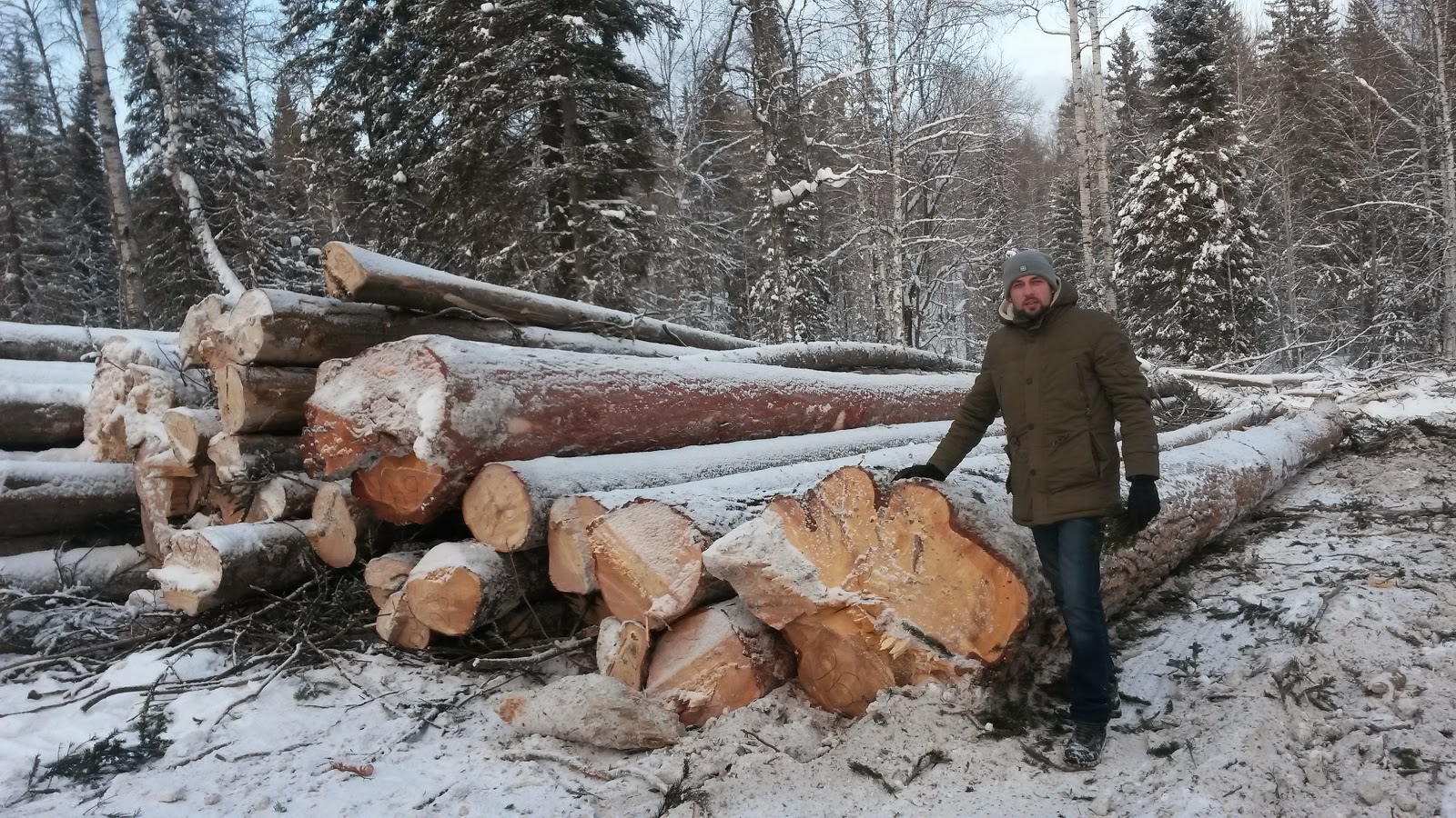 Держите рубленную. Заготовка дров. Лесоруб зимой. Заготовка древесины. Заготовка древесины на дрова.