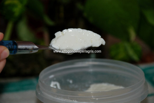 Cómo hacer yogurt natural casero Cómo hacer yogurt natural casero