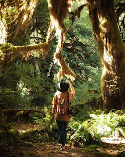 olympic national park
