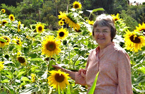 Debra and the Sunflowers