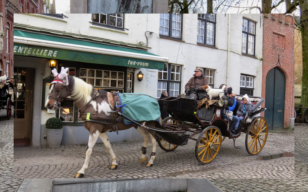 15 Reasons to Visit Bruges for Christmas: Horse-drawn carriage in Bruges