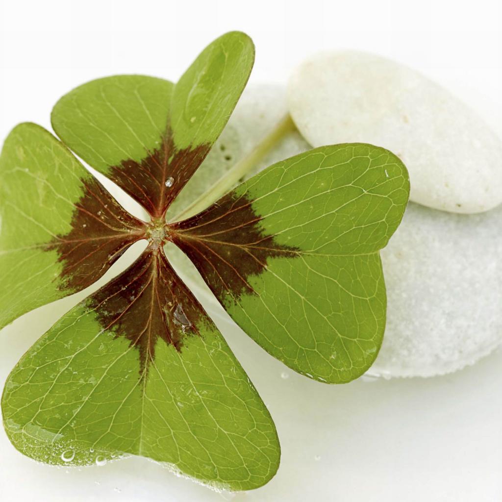 st patricks day ipad wallpaper