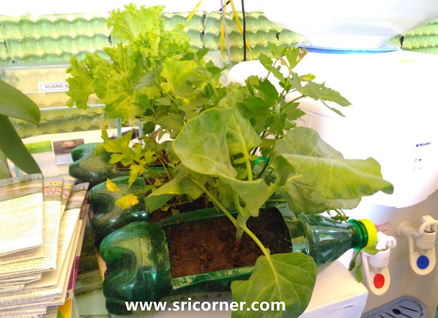 http://www.sricorner.com/ http://www.sricorner.com/