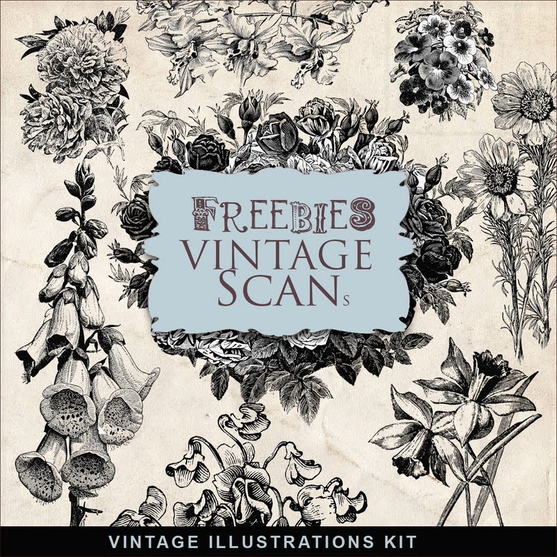 Vintage scans. Vintage scans. Vintage style labels. Pictures freebie vintage. Scrapbook vintage label.