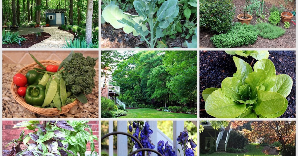 diy Design Fanatic Start An Herb Garden In Your Front Yard