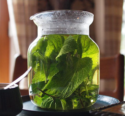 The Herb Gardener How To Make Sun Tea With Fresh Herbs Or Bags I M All For Beverages That Make Themselves While Do Something Else Sun Tea Is Like It S Also Very Nice To Right In The Garden
