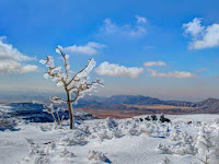 5 Surprising Facts about the Desert 5 Surprising Facts about the Desert