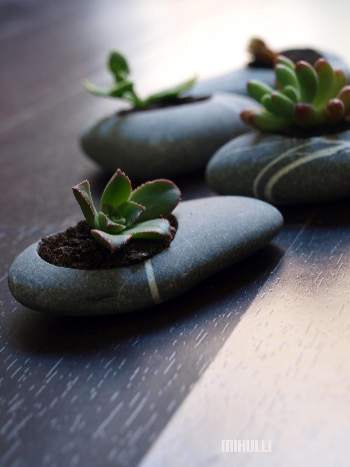 mihulli new zen gardens...