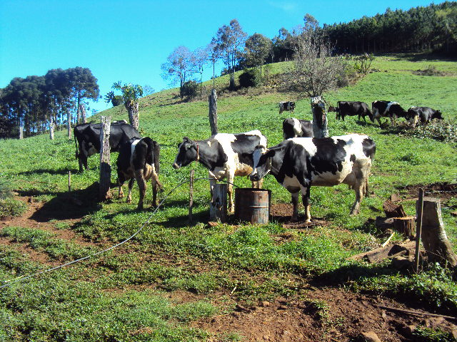 Escola Municipal Pe. Alfredo Kasper: Meio Rural e meio Urbano