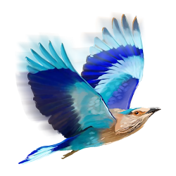 picsart bird editing zone awesome