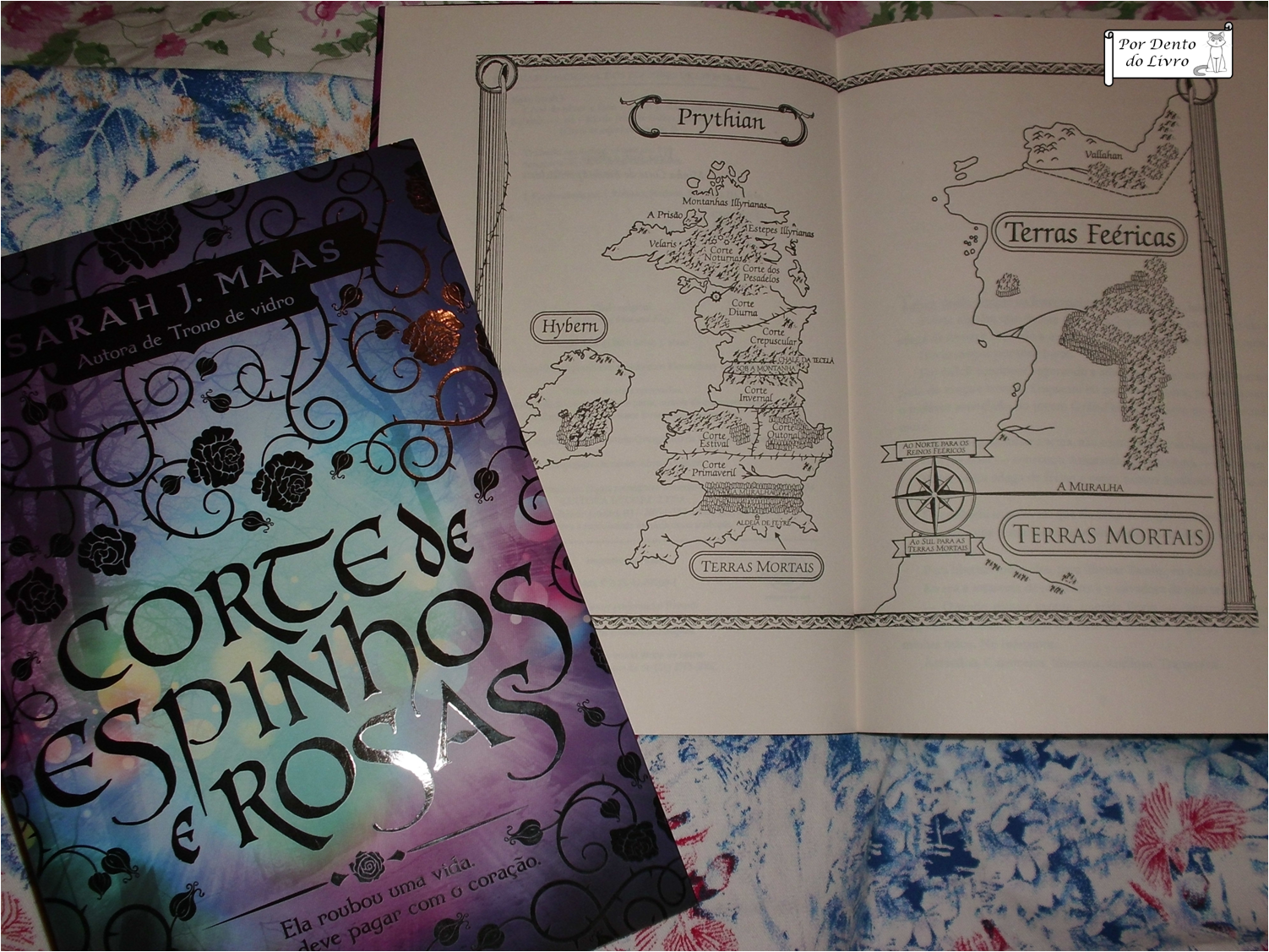 Novo livro da série “Corte de Espinhos e Rosas”, de Sarah J. Maas, ganha capa Falando Literaturas