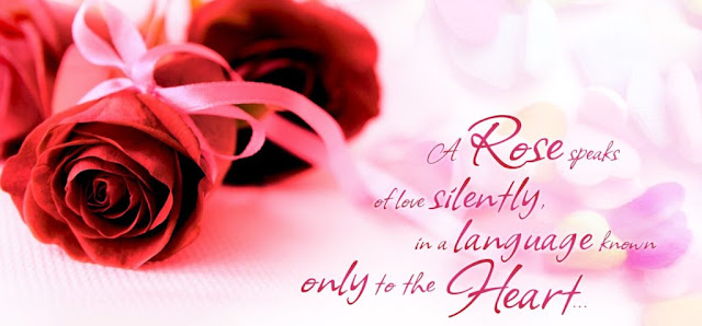 Happy Rose Day HD Wallpapers Happy Rose Day HD Wallpapers