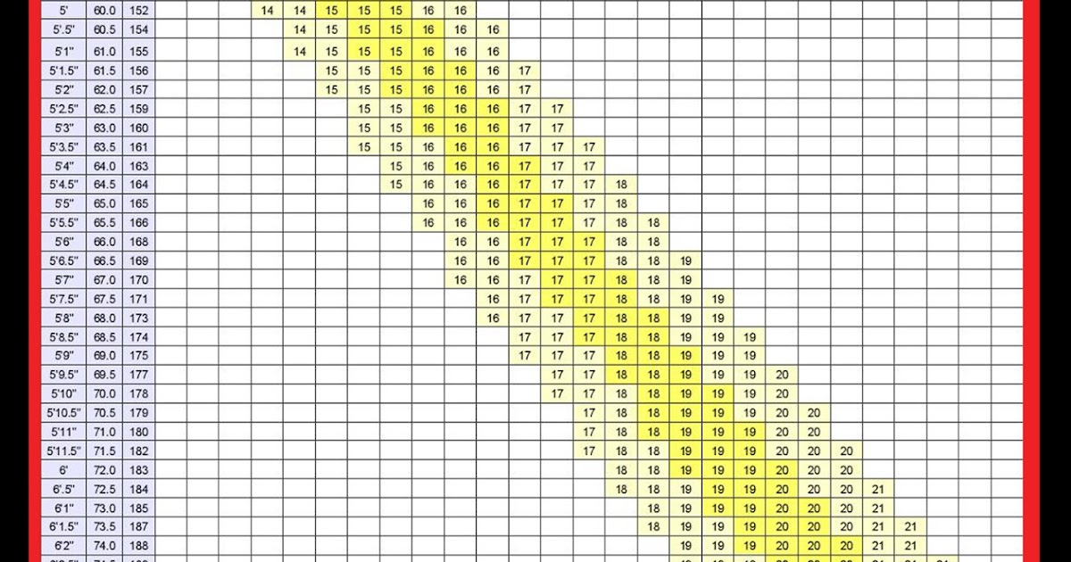 Memilih Ukuran Frame Sepeda Road Bike - V Soalan