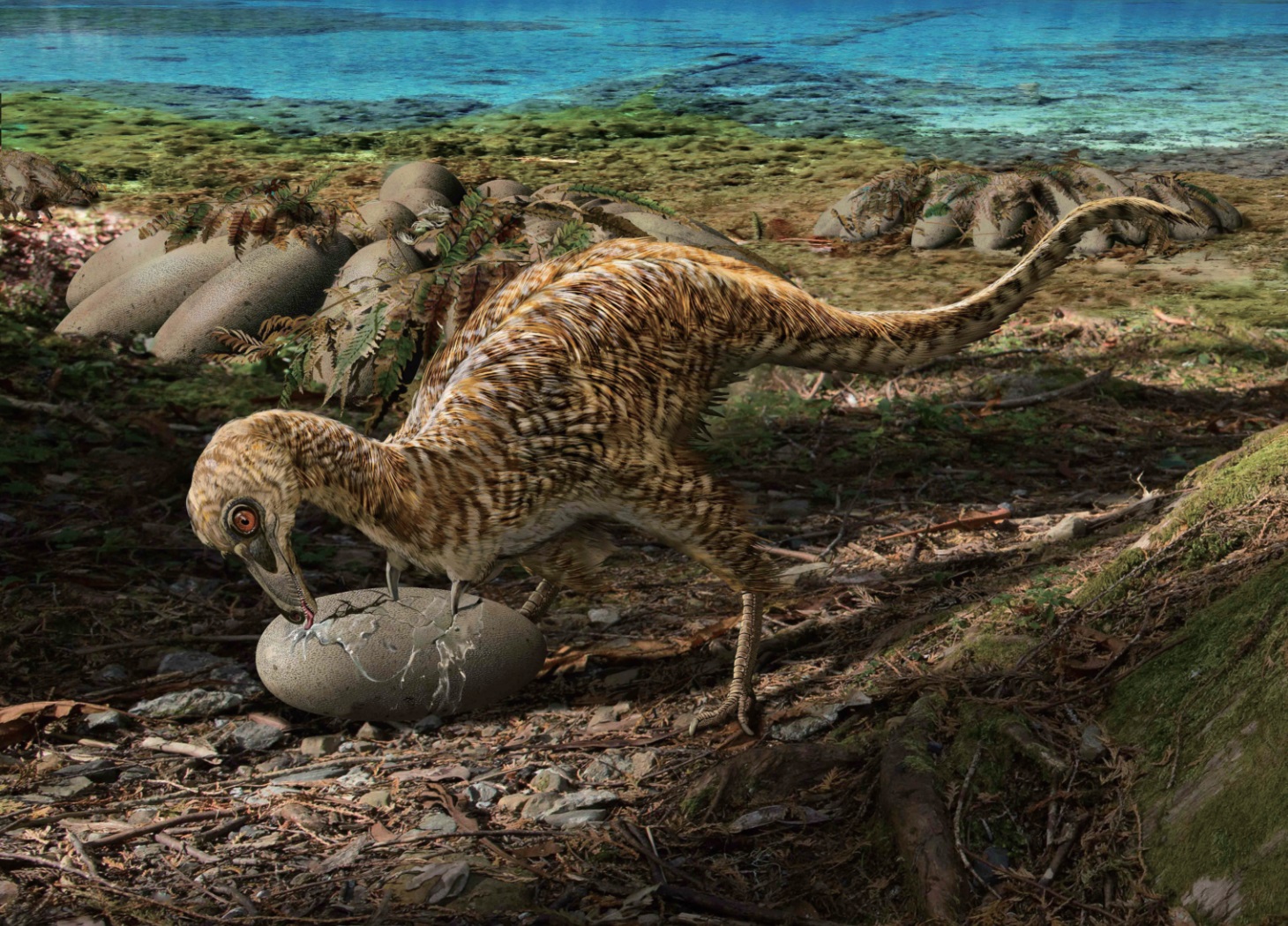 Paleo Discoveries of 2018 - Page 3 Qiupanykus_zhangi-novataxa_2018-L%25C3%25BC_Xu_Chang_Jia_Zhang_et-al--paleoArt-Zhao_Chuang