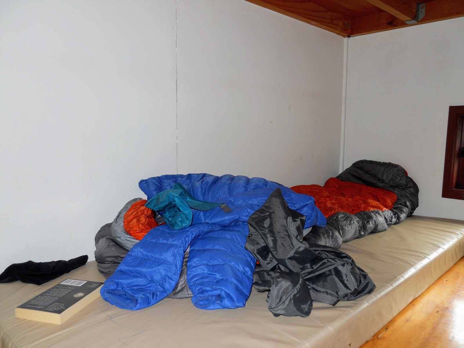 Tramping in the New Zealand backcountry NZ Bush Adventures Tramping