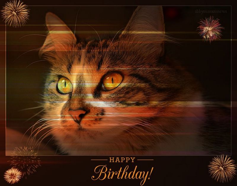 MANX MNEWS: HAPPY 3RD BIRTHDAY ANNABELLE