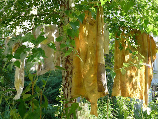 Eco dye bidulafil Eco dye bidulafil