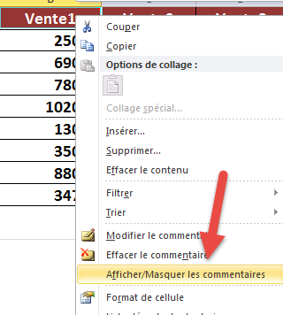 Masquer le commentaire