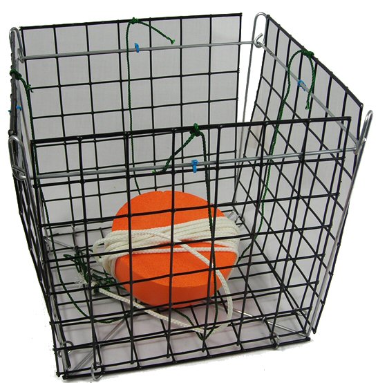 Kayak Crabbing the Chesapeake Bay FAQ