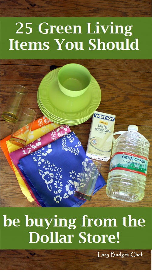 10 Budget Friendly Dollar Store Calming Items – Behavior Savers