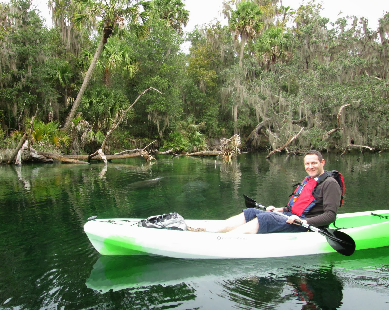 Central Florida Kayak Tours: Graham and Rebecca's Winter Manatee