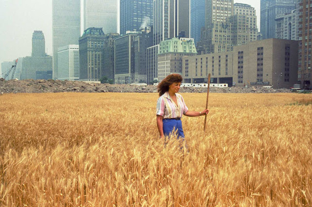 Campo de trigo en Nueva York - 1982