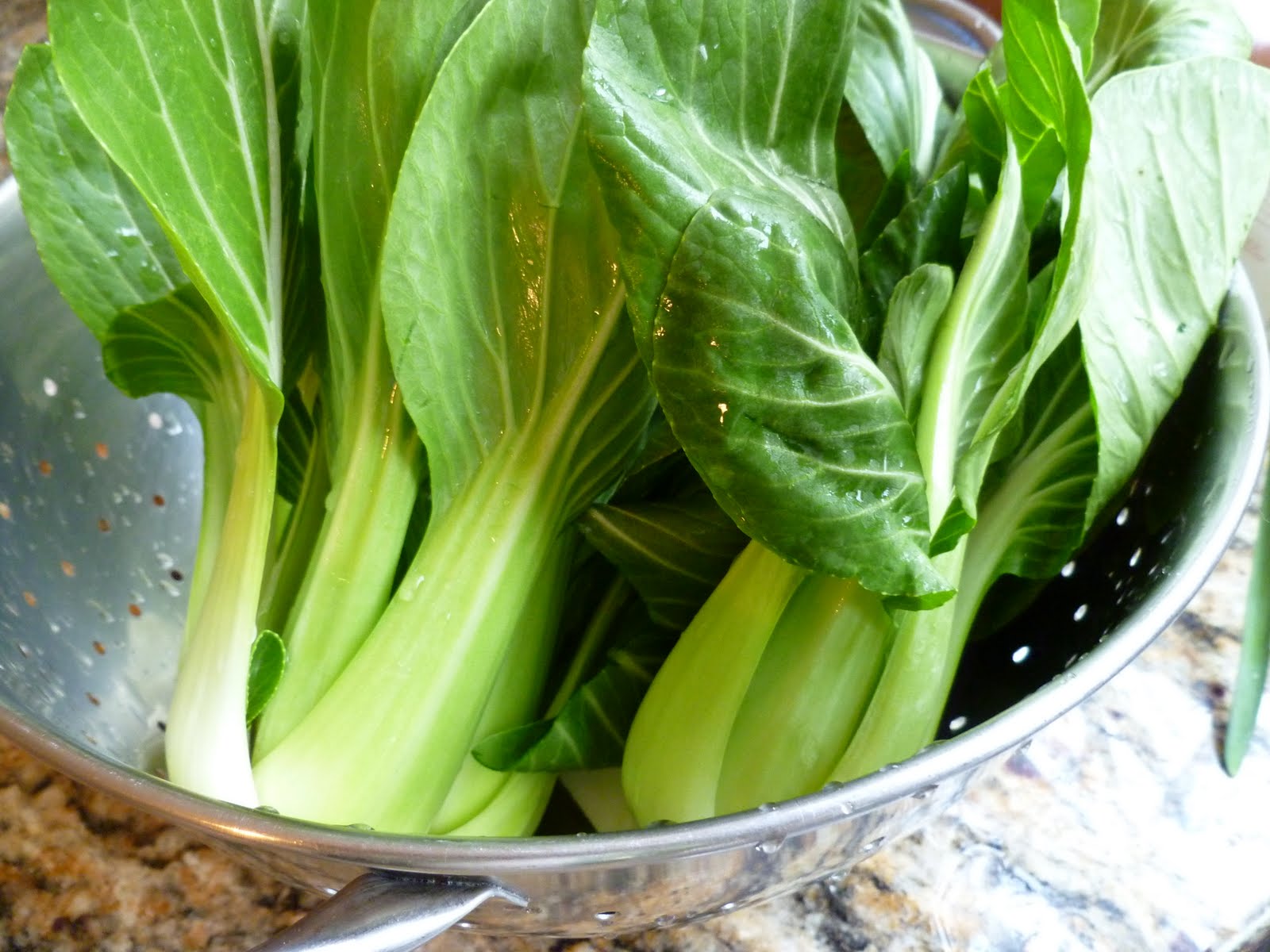 Baby Bok Choy with Oyster Sauce