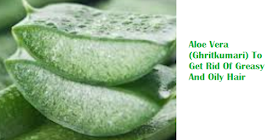 Aloe Vera Gel For Hair Treatments Ghritkumari Pocket Press Release