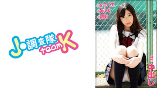 376JOTK-043 はとり