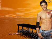 where to, download bollywood actor, zayes khan, body, wallpaper
