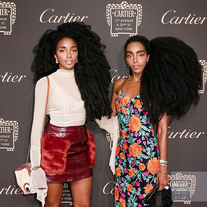 Now, whatever Cipriana and TK Wonder do - These Twin Sisters Were Ashamed Of Their Incredible Hair, But Now They Became Famous For It Now, whatever Cipriana and TK Wonder do - These Twin Sisters Were Ashamed Of Their Incredible Hair, But Now They Became Famous For It
