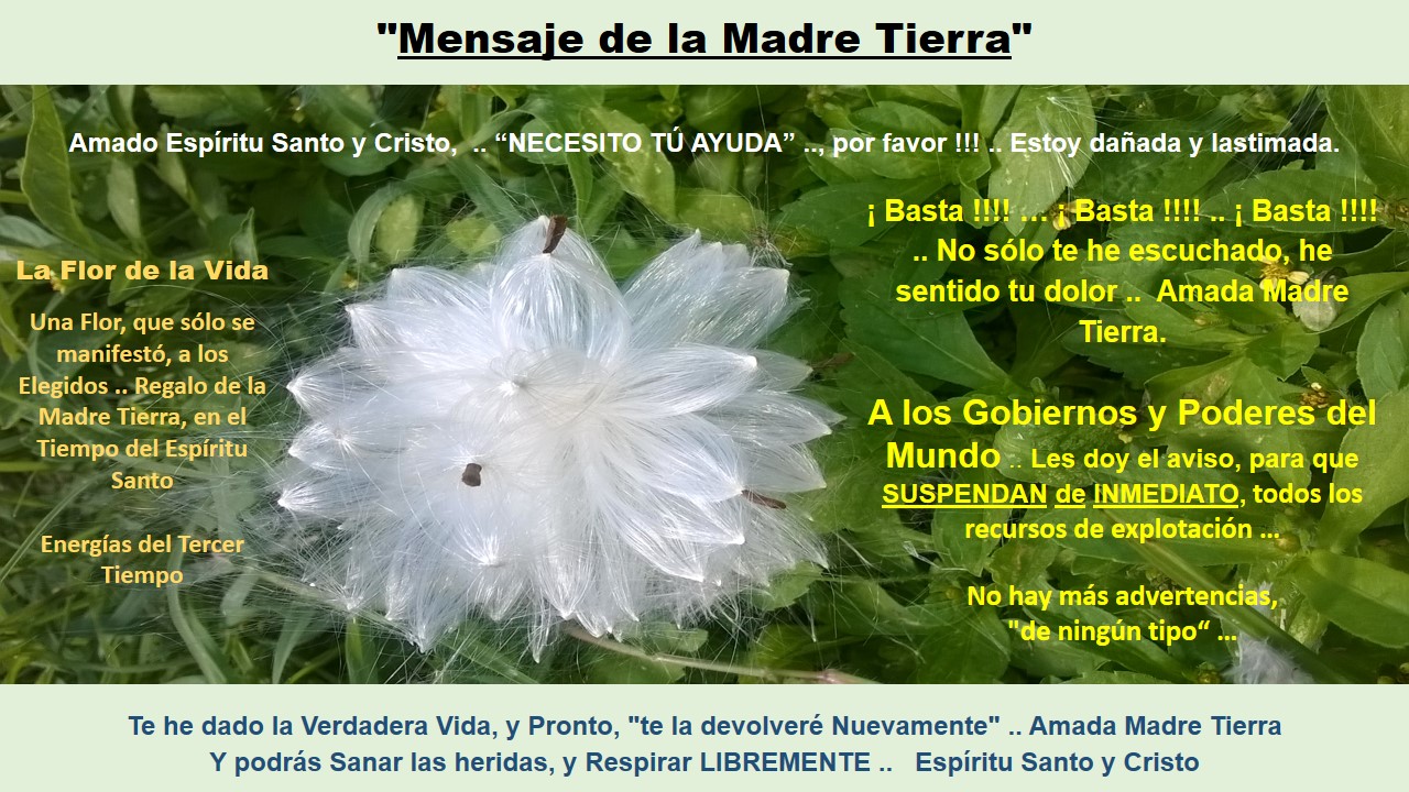 En esta sección
