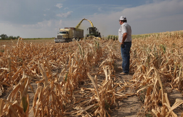 The Big Wobble - not good at all Harvest-Drought