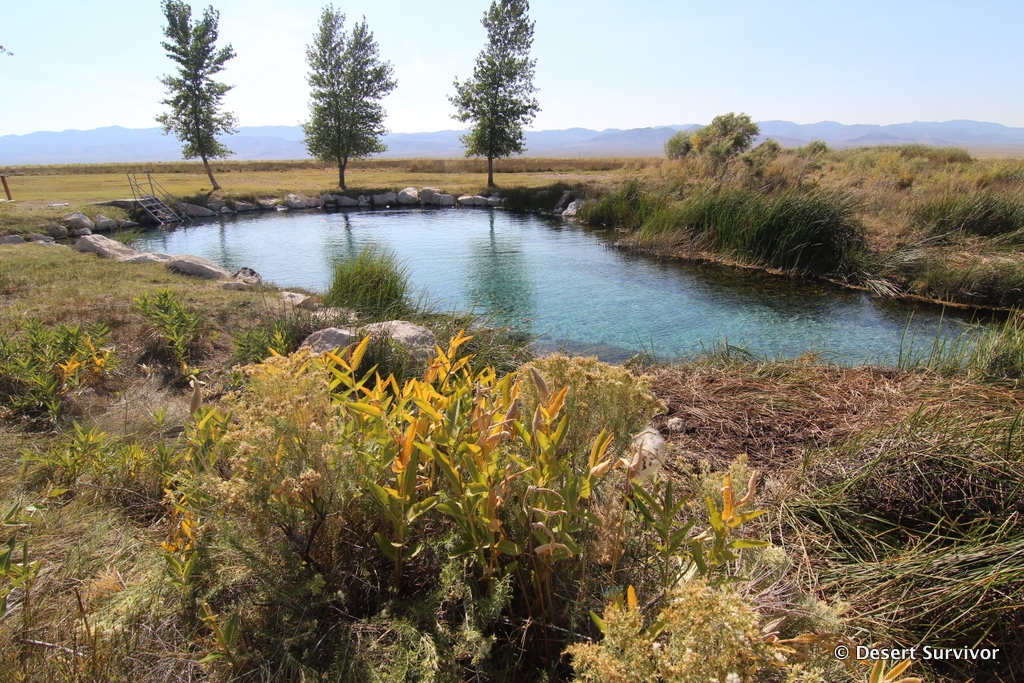 Desert Survivor: A Visit to Big Warm Spring, Duckwater Shoshone Reservation