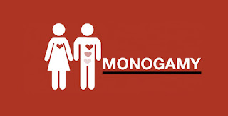 monogamy polygamy monogamous sexualidad believe noun